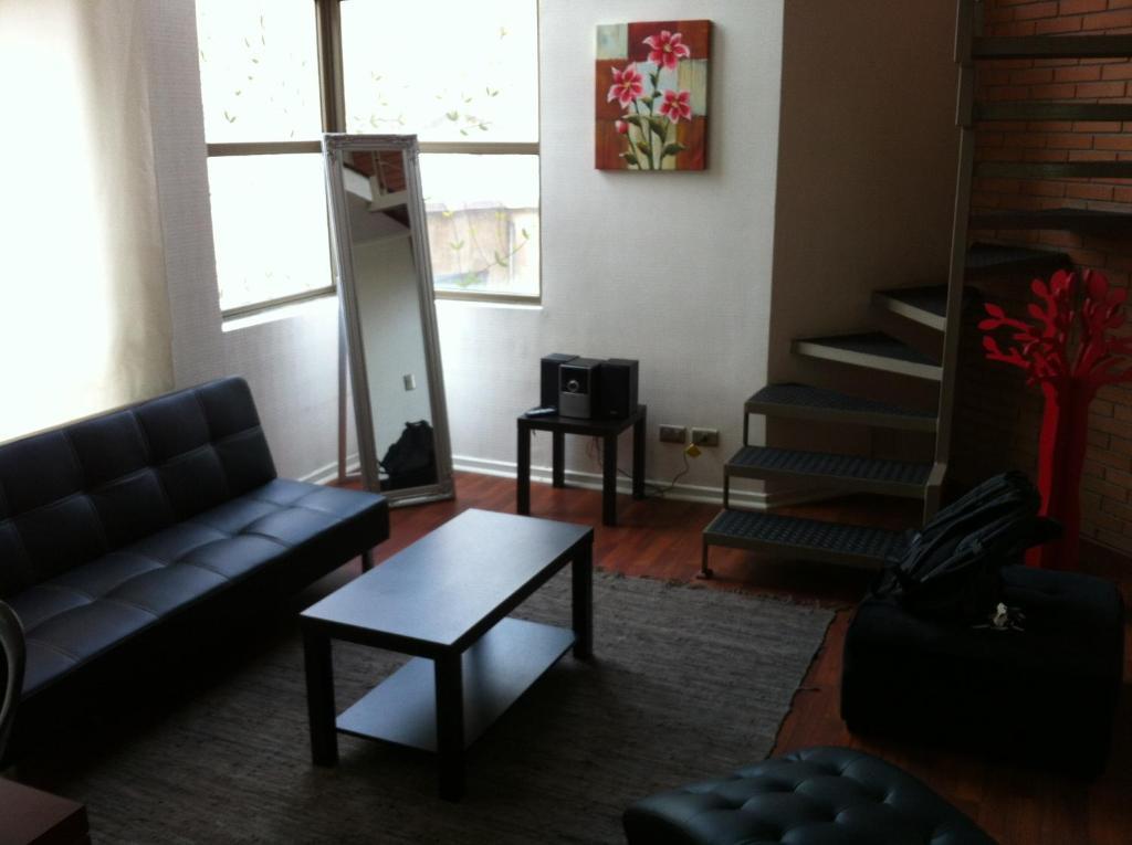 Apartament Apart Urbano Bellas Artes Santiago de Chile Zewnętrze zdjęcie